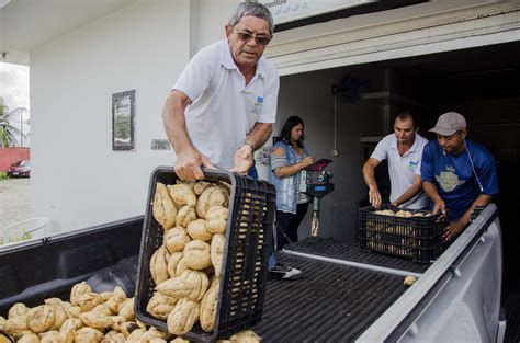 Banco De Alimentos Beneficia Mais De Fam Lias Pol Tica De