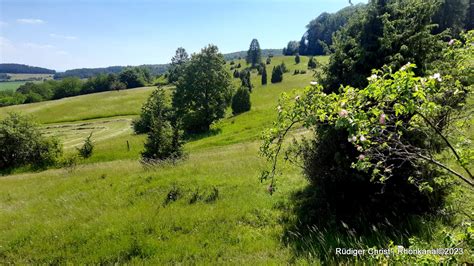 schöne Wiesenthaler Schweiz Reich an Natur Gastfreundschaft