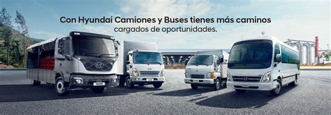 Home Hyundai Camiones Y Buses