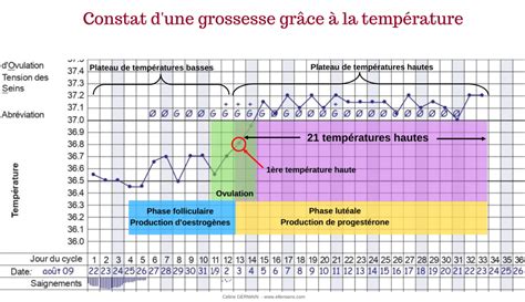 Symptothermie Courbe De Température Et Fécondation Elle En Sens