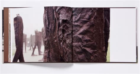 Magdalena Abakanowicz - Agora - Books - Richard Gray Gallery