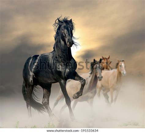 Black Stallion Stock Photo (Edit Now) 191533634