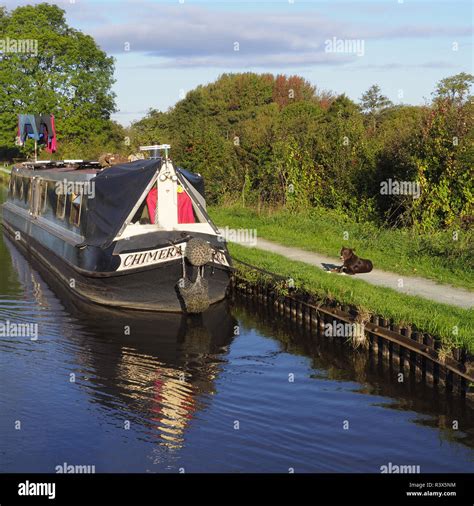 Narrow Boat Trip From Anglo Welsh S Trevor Boat Yard On The Llangollen