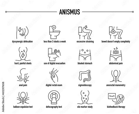 Anismus symptoms, diagnostic and treatment vector icon set. Line editable medical icons. Stock ...