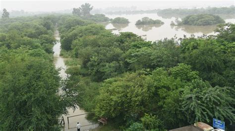 Triumph Of Yamuna Biodiversity Park Over Floods The Patriot