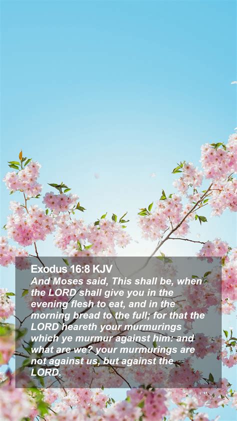 Exodus 16 8 KJV Mobile Phone Wallpaper And Moses Said This Shall Be