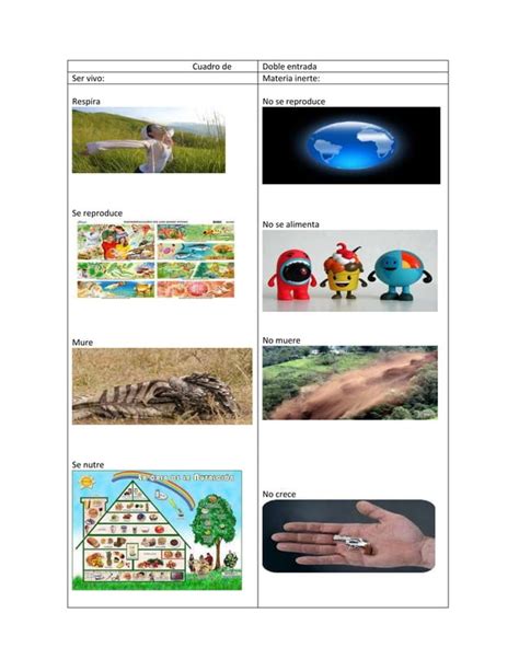 Cuadro De Entrada Diferencis Entre Seres Vivos Y Seres Inertes PDF