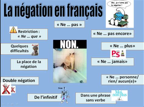 La N Gation Le Blog De Fle De Vicky