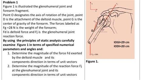 Solved Problem 1figure 1 ﻿is Illustrated The Glenohumeral