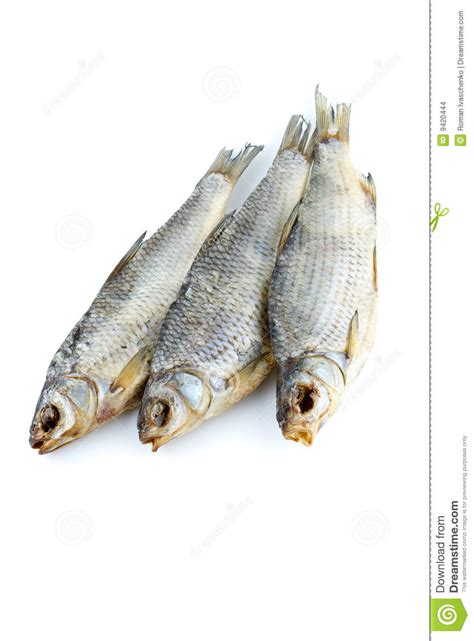 Três Peixes Da Barata Do Mar Foto de Stock Imagem de gostoso marisco