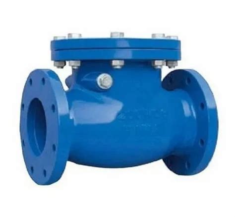 SS Cast Iron Reflux Valve Nrv Flanged End Valve Size 4 Inch Size