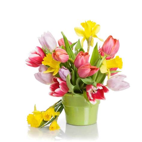 40+ Stunning Tulip Arrangement Ideas