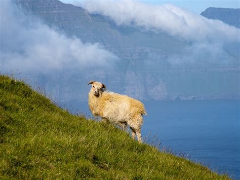 The Faroe Islands - Where the Vikings Used to Roam - Woman Around Town