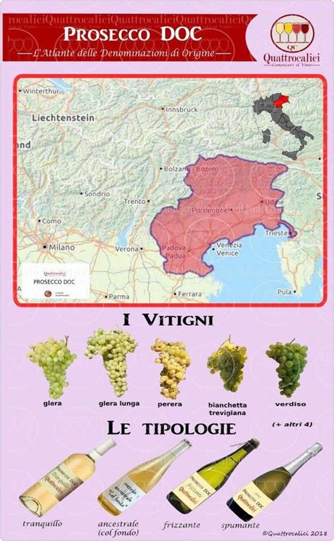 Prosecco DOC Quattrocalici Vino Italiano Cibo E Vino Tempo Di Vino