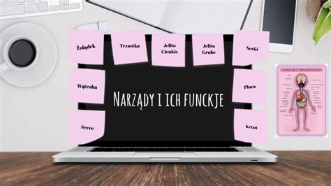 Narz Dy I Ich Funkcje By Aleksandra Karpi Ska On Prezi