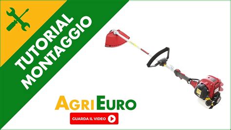 Montaggio Decespugliatore A Benzina Tempi Motore Honda Gx Con