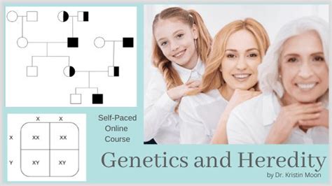 Genetics And Heredity Kristin Moon Science Heredity Genetics