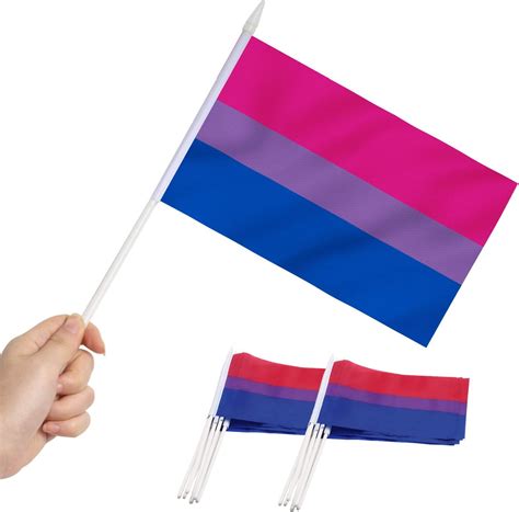 Anley Bisexual Pride Mini Flags Pack Of Small India Ubuy