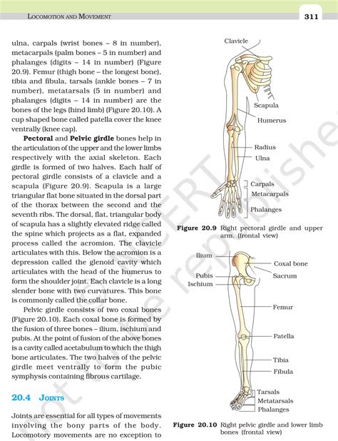 Ncert Book Class Biology Chapter Locomotion And Movement