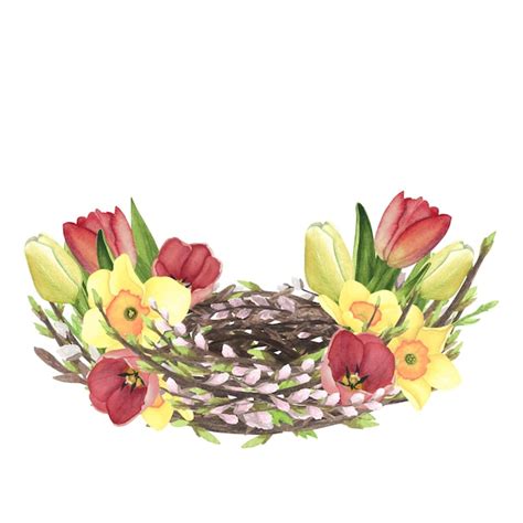 Premium Photo Willow Pussy Nest Watercolor With Tulips Daffodil Isolated On White Hand Drawing