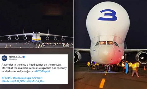 In Pics: World's Largest Cargo Plane, 'Airbus Beluga' In The Shape Of Whale Finally Lands At ...