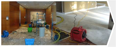 Water Damage Repair Fort Lauderdale Water Damage Restoration Company