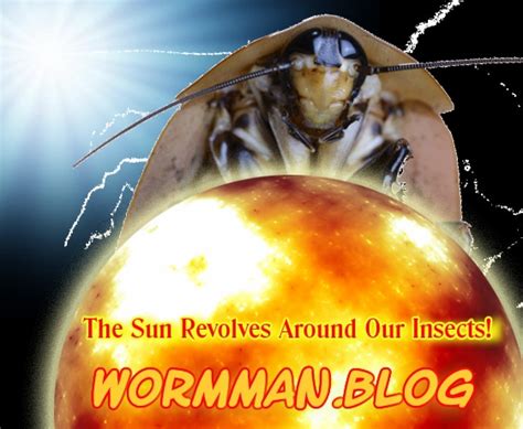 Tubifex Worm Culturing And Breeding Setup Wormman Blog