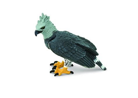 Safari Ltd Harpy Eagle Figurine Detailed 3 Plastic Model Figure