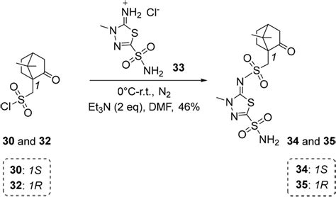 Synthesis Of Sulfonamides Of 1S And 1R Camphor 10 Sulfonic