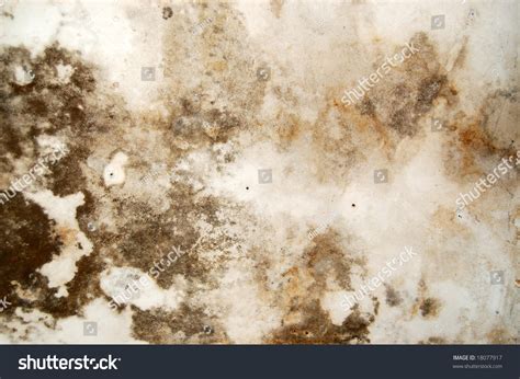 Mold Growth And Water Stains On The Ceiling Of An Abandoned House. Stock Photo 18077917 ...