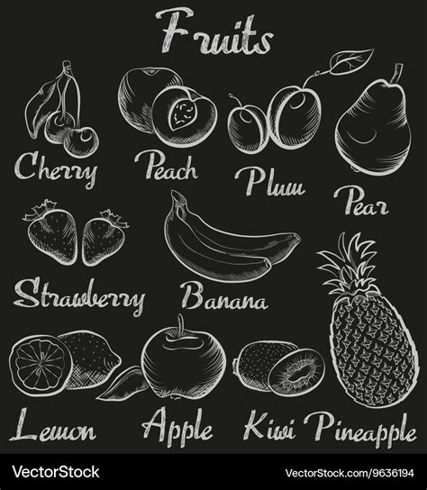 Vintage Fruits Hand Drawn Chalk Blackboard Sketch Vector Image