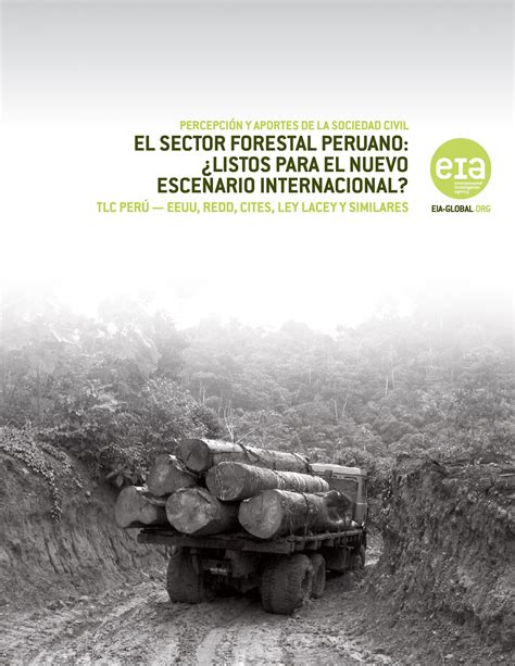 El Sector Forestal Peruano Listos Para El Nuevo Escenario