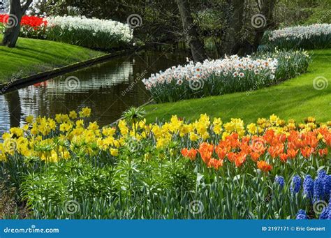 Flower garden in spring stock image. Image of natural - 2197171