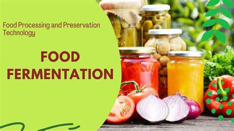 Food Fermentation L Food Preservation Methods Lesson 13 L Food Processing Technology Youtube