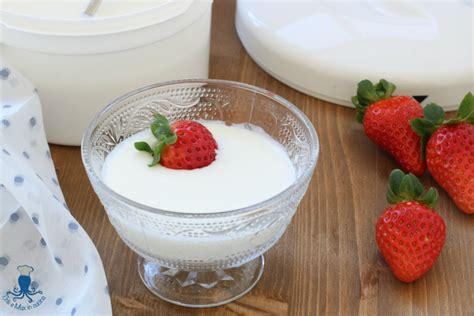 Yogurt Fatto In Casa Ricetta Base Con E Senza Yogurtiera