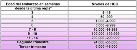 Beta Hcg Hcg C Mo Interpretar Tu An Lisis De Embarazo