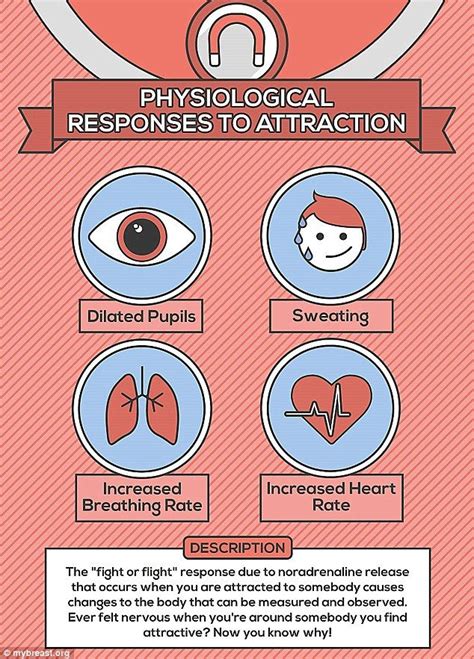 Science Of Love Infographic Shows What Our Mind And Body Experiences