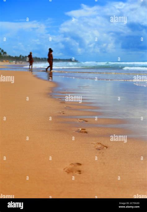 Beach In Porto De Galinhas Pernambuco Brazil Stock Photo Alamy