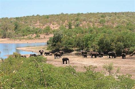 Kruger National Park History & Geography