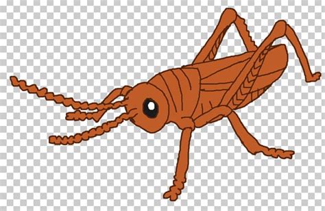 cricket animal clipart 20 free Cliparts | Download images on Clipground ...