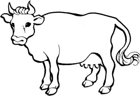 Cara Gambar Sapi Untuk Anak Tk Mewarnai Gambar Anak Gembala Gambar Riset