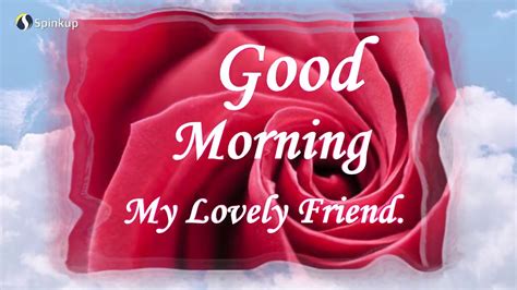 Sweet And Cute Lovely Good Morning Message To Friend Good Morning