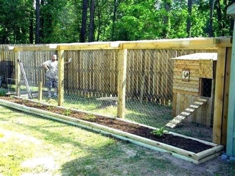 Cookoo That Works How To Keep Chickens Out Of Garden Chicken