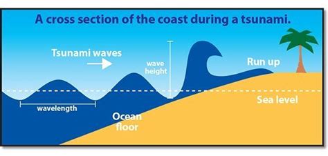 Tsunami Facts Check Out The Mighty Wave National Geographic Kids