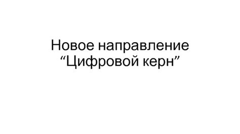Технология Цифровой керн