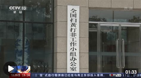 上半年各地“扫黄打非”部门查处各类案件5200余起 典型案件公布→传播涉案视频