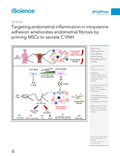 Pdf Targeting Endometrial Inflammation In Intrauterine Adhesion