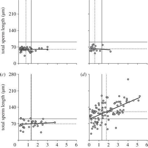 Relations Between Total Sperm Length Mm And Relative Testes Mass In Download Scientific