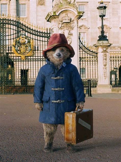 Paddington In Peril Hopes The Film Will Shine A Spotlight On The Endangered Bears Paddington