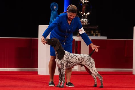 Meet The Akc National Championship Group Winners